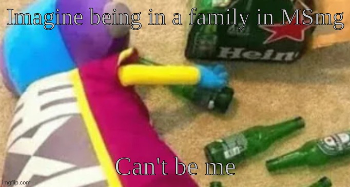 Satire idiot | Imagine being in a family in MSmg; Can't be me | image tagged in idiot | made w/ Imgflip meme maker