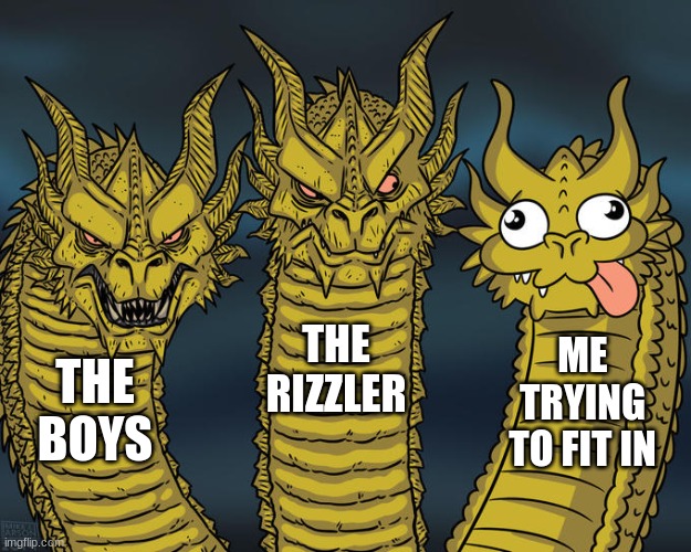 This isnt true. I always try to be myself. | THE RIZZLER; ME TRYING TO FIT IN; THE BOYS | image tagged in three-headed dragon | made w/ Imgflip meme maker