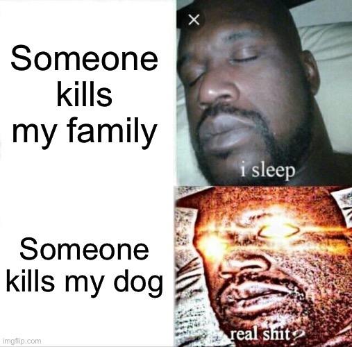 YOU KILL I KILL | Someone kills my family; Someone kills my dog | image tagged in memes,sleeping shaq | made w/ Imgflip meme maker