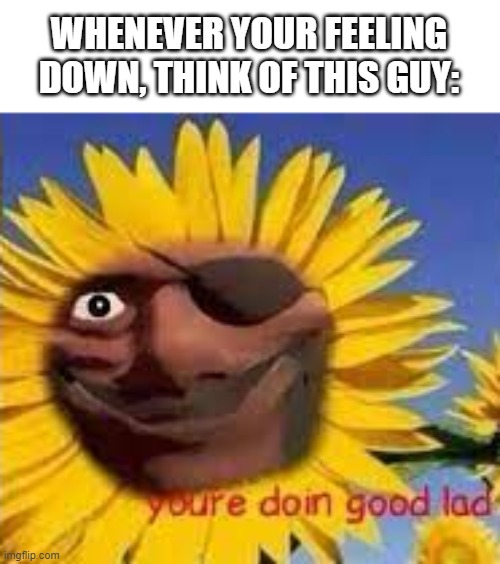 WHENEVER YOUR FEELING DOWN, THINK OF THIS GUY: | image tagged in tf2,sunflower | made w/ Imgflip meme maker