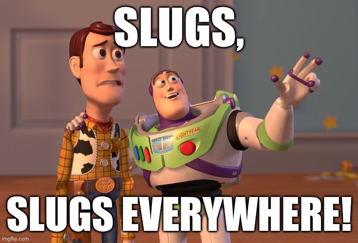 Why not | SLUGS, SLUGS EVERYWHERE! | image tagged in memes,x x everywhere,random,slug | made w/ Imgflip meme maker