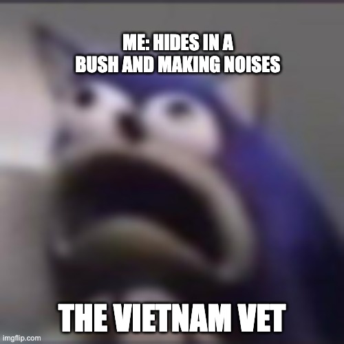 we do soem trolling | ME: HIDES IN A BUSH AND MAKING NOISES; THE VIETNAM VET | image tagged in distress | made w/ Imgflip meme maker