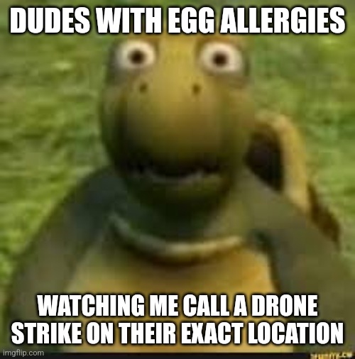 Over the hedge Thousand yard stare | DUDES WITH EGG ALLERGIES; WATCHING ME CALL A DRONE STRIKE ON THEIR EXACT LOCATION | image tagged in over the hedge thousand yard stare | made w/ Imgflip meme maker