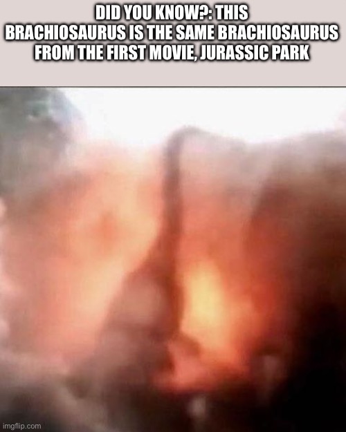 This makes her death a lot sadder as she has been with us for almost 30 years | DID YOU KNOW?: THIS BRACHIOSAURUS IS THE SAME BRACHIOSAURUS FROM THE FIRST MOVIE, JURASSIC PARK | image tagged in brachiosaurus,jurassic park,sad but true | made w/ Imgflip meme maker