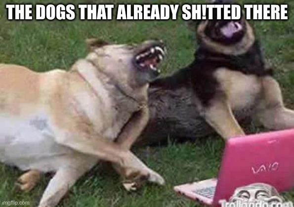 Dogs Laughing | THE DOGS THAT ALREADY SH!TTED THERE | image tagged in dogs laughing | made w/ Imgflip meme maker