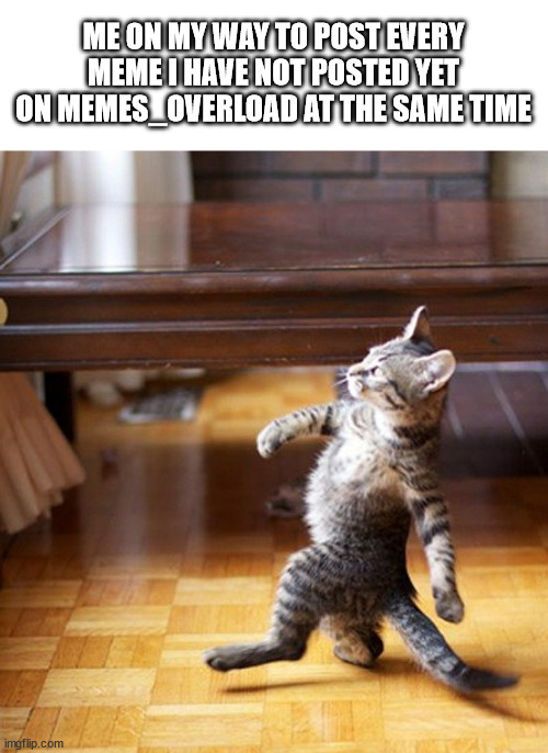 Sorry Moderators | ME ON MY WAY TO POST EVERY MEME I HAVE NOT POSTED YET ON MEMES_OVERLOAD AT THE SAME TIME | image tagged in cat walking like a boss,oh god why | made w/ Imgflip meme maker