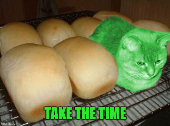 Loaf RayCat | TAKE THE TIME | image tagged in loaf raycat | made w/ Imgflip meme maker