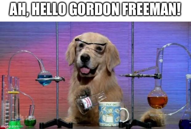 Chemistry Dog | AH, HELLO GORDON FREEMAN! | image tagged in chemistry dog | made w/ Imgflip meme maker