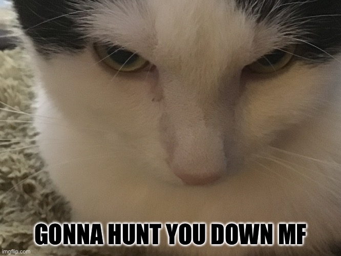 GONNA HUNT YOU DOWN MF | made w/ Imgflip meme maker