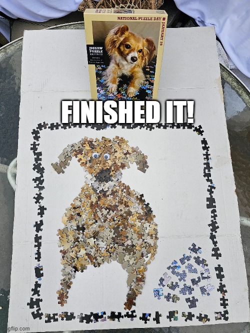 POV Dog Playing Puzzle | FINISHED IT! | image tagged in dogs,dog,puzzle,puzzles,jigsaw,funny memes | made w/ Imgflip meme maker