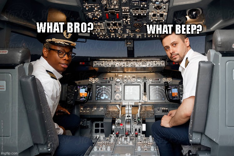 DEI Pilots be like | WHAT BRO? WHAT BEEP? | image tagged in funny memes | made w/ Imgflip meme maker