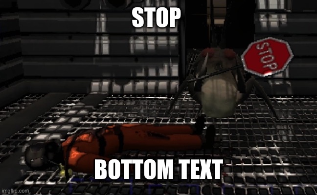Lethal Company Stop | STOP; BOTTOM TEXT | image tagged in lethal company stop | made w/ Imgflip meme maker