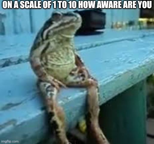 Frog Sit | ON A SCALE OF 1 TO 10 HOW AWARE ARE YOU | image tagged in frog sit | made w/ Imgflip meme maker