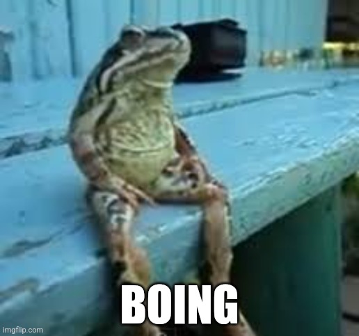 Frog Sit | BOING | image tagged in frog sit | made w/ Imgflip meme maker