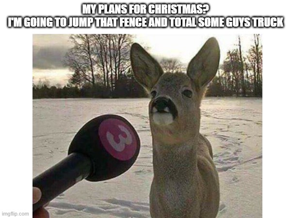 christmas | MY PLANS FOR CHRISTMAS?
I'M GOING TO JUMP THAT FENCE AND TOTAL SOME GUYS TRUCK | image tagged in deer,merry christmas,car wreck | made w/ Imgflip meme maker