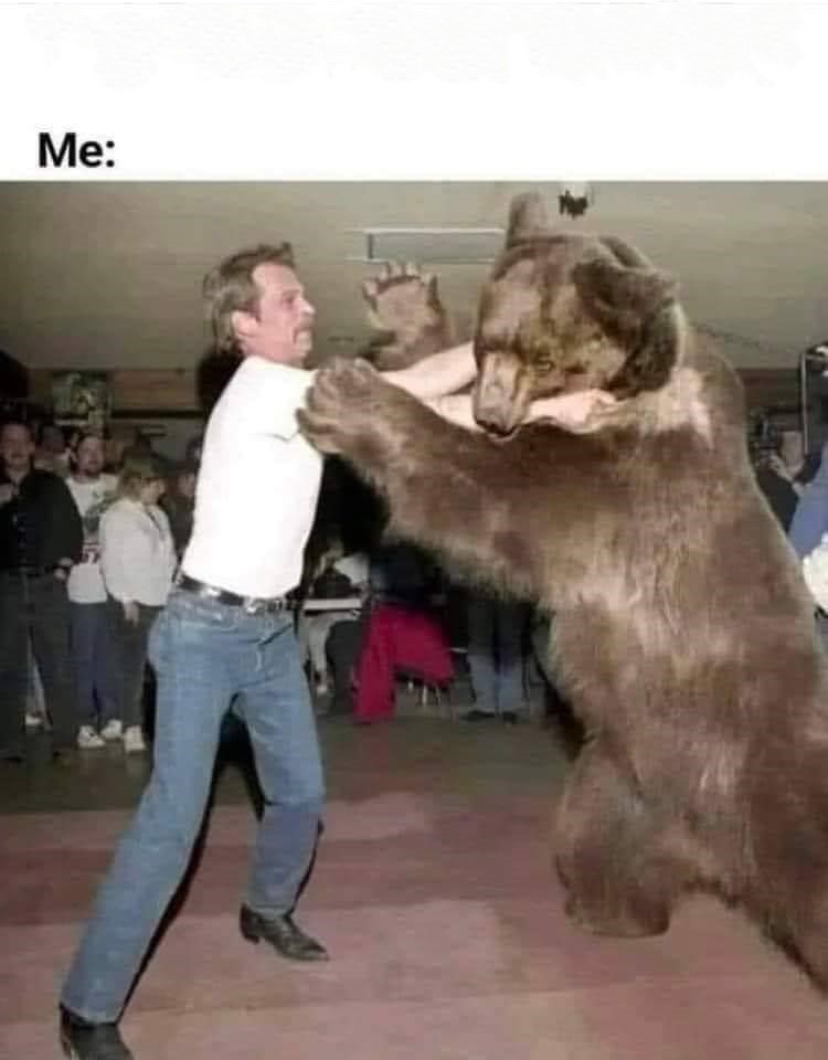 High Quality Fight a bear Blank Meme Template