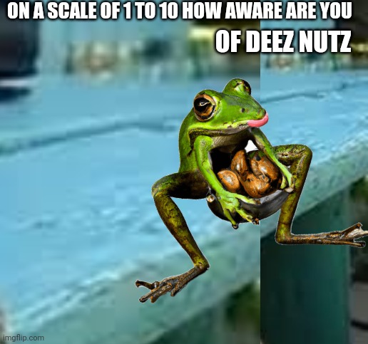 ON A SCALE OF 1 TO 10 HOW AWARE ARE YOU; OF DEEZ NUTZ | image tagged in deez nuts,awareness | made w/ Imgflip meme maker