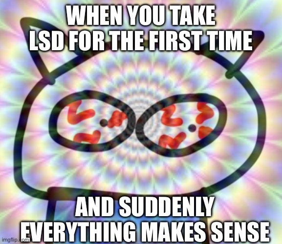 Side note: don’t do drugs, in large amounts. | WHEN YOU TAKE LSD FOR THE FIRST TIME; AND SUDDENLY EVERYTHING MAKES SENSE | image tagged in ai,lsd | made w/ Imgflip meme maker