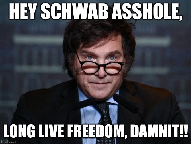 Telling off the left in their own home | HEY SCHWAB ASSHOLE, LONG LIVE FREEDOM, DAMNIT!! | image tagged in milei no hay plata | made w/ Imgflip meme maker