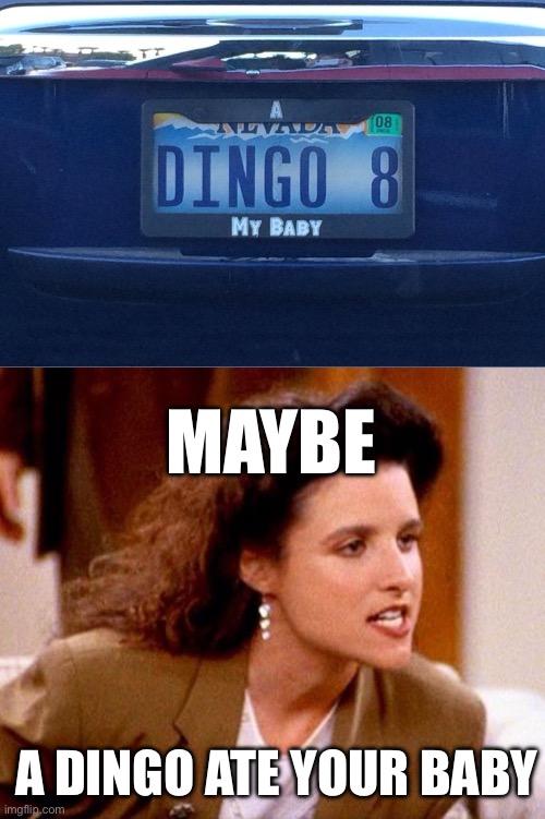 Baby ate | MAYBE; A DINGO ATE YOUR BABY | image tagged in maybe dingos ate your baby,shadydingo,baby | made w/ Imgflip meme maker