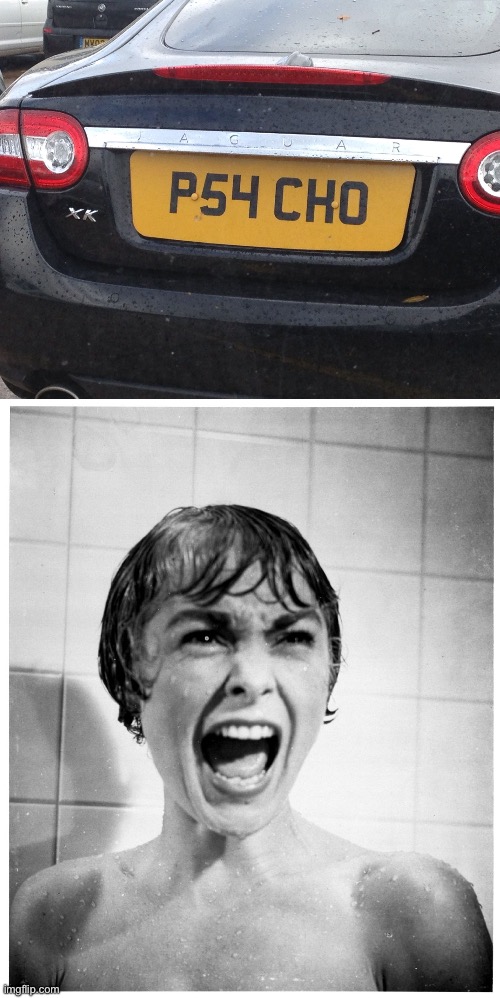 Psycho | image tagged in psycho shower,number plate | made w/ Imgflip meme maker