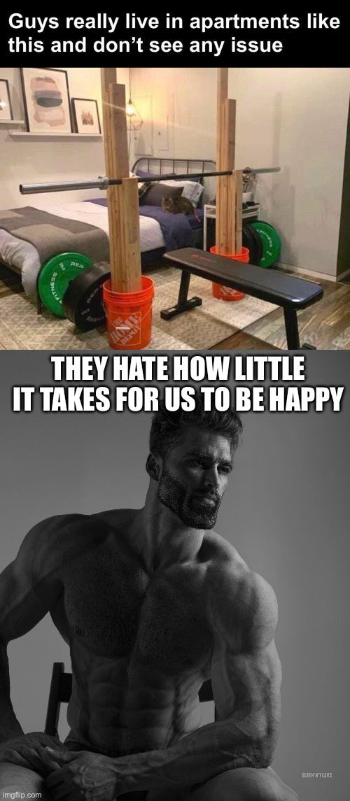Happy life | THEY HATE HOW LITTLE IT TAKES FOR US TO BE HAPPY | image tagged in giga chad,happy,life | made w/ Imgflip meme maker