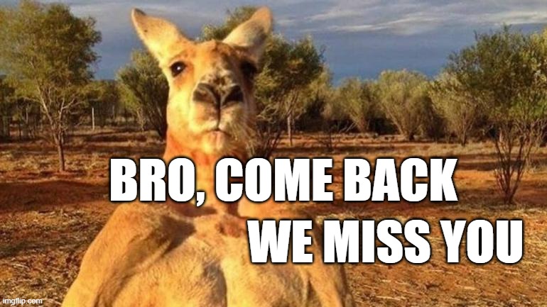 Kangaroo bro | BRO, COME BACK; WE MISS YOU | image tagged in kangaroo | made w/ Imgflip meme maker