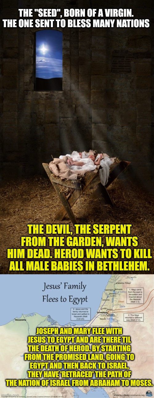 THE "SEED", BORN OF A VIRGIN. THE ONE SENT TO BLESS MANY NATIONS; THE DEVIL, THE SERPENT FROM THE GARDEN, WANTS HIM DEAD. HEROD WANTS TO KILL ALL MALE BABIES IN BETHLEHEM. JOSEPH AND MARY FLEE WITH JESUS TO EGYPT AND ARE THERE TIL THE DEATH OF HEROD. BY STARTING FROM THE PROMISED LAND, GOING TO EGYPT AND THEN BACK TO ISRAEL, THEY HAVE 'RETRACED' THE PATH OF THE NATION OF ISRAEL FROM ABRAHAM TO MOSES. | image tagged in infant jesus,the holy family escapes to egypt | made w/ Imgflip meme maker