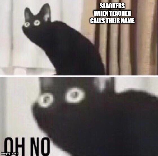 Busted | SLACKERS WHEN TEACHER CALLS THEIR NAME | image tagged in oh no cat | made w/ Imgflip meme maker