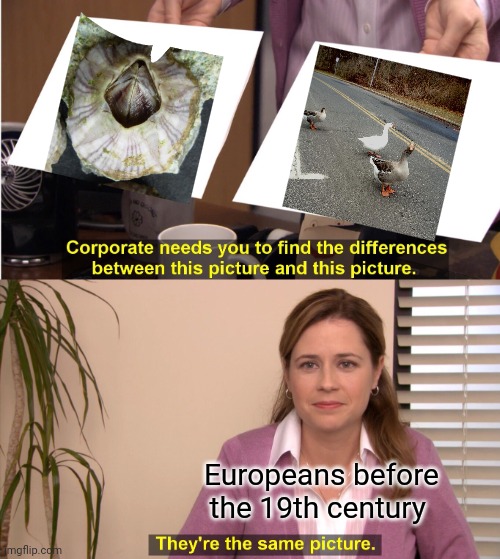 They thought that barnacles grew into geese. | Europeans before the 19th century | image tagged in memes,they're the same picture,animals,misunderstanding,evolution,fun fact | made w/ Imgflip meme maker