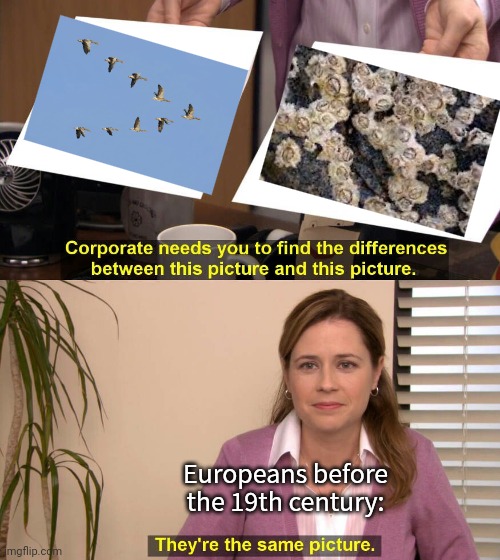 They thought that barnacles grew into geese. | Europeans before the 19th century: | image tagged in they are the same picture,misunderstanding,evolution,animals | made w/ Imgflip meme maker