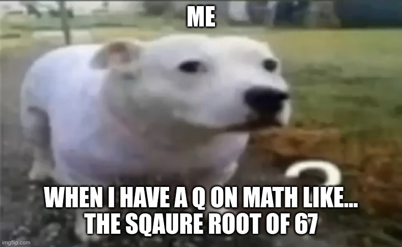 bru math am i right | ME; WHEN I HAVE A Q ON MATH LIKE...

THE SQAURE ROOT OF 67 | made w/ Imgflip meme maker