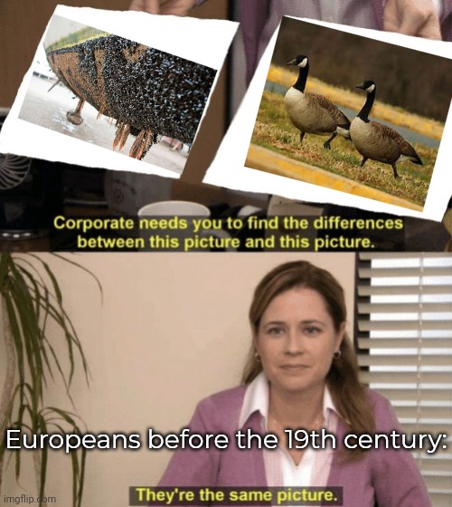 They really thought that barnacles grew into geese. | Europeans before the 19th century: | image tagged in corporate needs you to find the differences,evolution,animals,misunderstanding | made w/ Imgflip meme maker