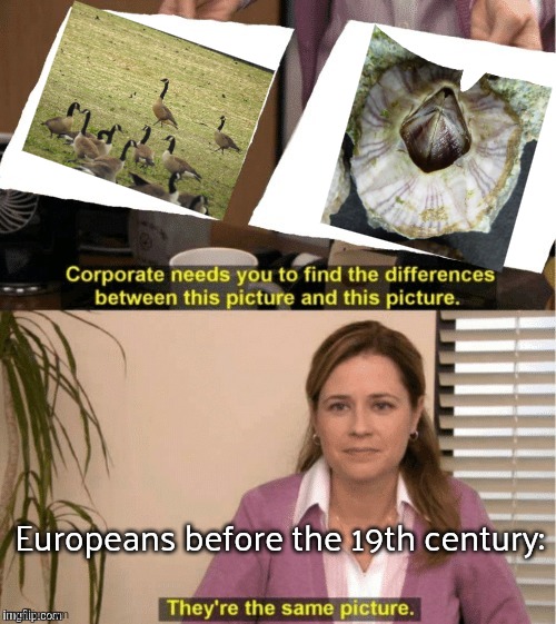 They seriously believed that barnacles grew into geese. | Europeans before the 19th century: | image tagged in they re the same thing,animals,misunderstanding,revolution | made w/ Imgflip meme maker
