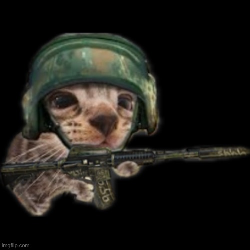 can you do silly critter? male goofy counter-terrorist cat with an M4A1-S Flashback | image tagged in silly critter | made w/ Imgflip meme maker