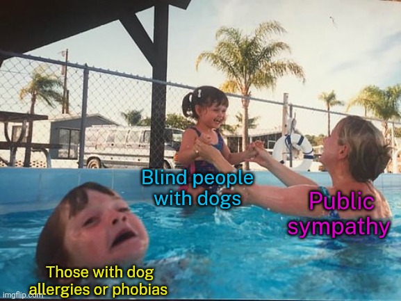 One person's solution can end up causing problems for others. | Blind people with dogs; Public sympathy; Those with dog allergies or phobias | image tagged in kid drowning,dilemma,disability,illness,fear,issues | made w/ Imgflip meme maker