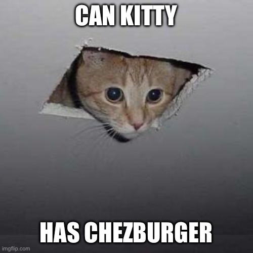Chezburger | CAN KITTY; HAS CHEZBURGER | image tagged in memes,ceiling cat | made w/ Imgflip meme maker