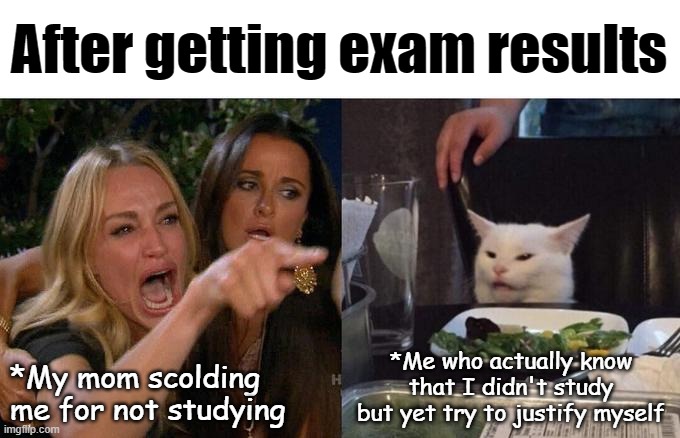 Me after getting results | After getting exam results; *Me who actually know that I didn't study but yet try to justify myself; *My mom scolding me for not studying | image tagged in memes,woman yelling at cat | made w/ Imgflip meme maker