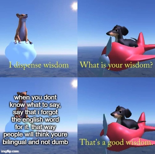 Wisdom dog | when you dont know what to say, say that i forgot the english word for it. that way people will think youre bilingual and not dumb | image tagged in wisdom dog | made w/ Imgflip meme maker