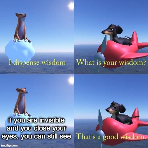 Wisdom dog | if you are invisible and you close your eyes, you can still see | image tagged in wisdom dog,thats a good wisdom | made w/ Imgflip meme maker