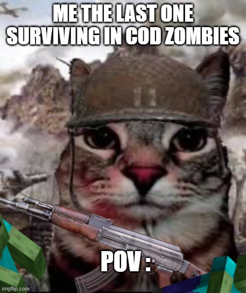 *doom music begins playing* | ME THE LAST ONE SURVIVING IN COD ZOMBIES; POV : | image tagged in 1000 yard stare cat | made w/ Imgflip meme maker