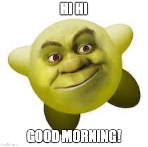 Shirby | HI HI; GOOD MORNING! | image tagged in shirby | made w/ Imgflip meme maker