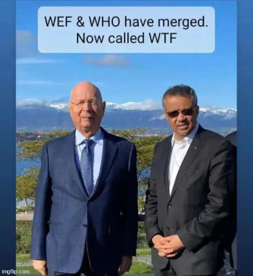 WTF | image tagged in who,plus,wef,equals,wtf | made w/ Imgflip meme maker