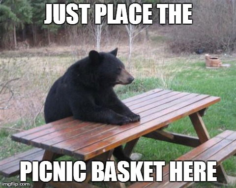 Bad Luck Bear | JUST PLACE THE PICNIC BASKET HERE | image tagged in memes,bad luck bear | made w/ Imgflip meme maker
