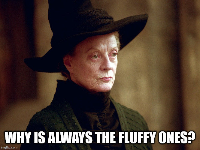 Unamused Mcgonagall | WHY IS ALWAYS THE FLUFFY ONES? | image tagged in unamused mcgonagall | made w/ Imgflip meme maker