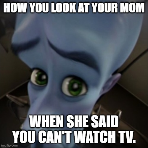 Either this or you stormed off. | HOW YOU LOOK AT YOUR MOM; WHEN SHE SAID YOU CAN'T WATCH TV. | image tagged in megamind peeking | made w/ Imgflip meme maker