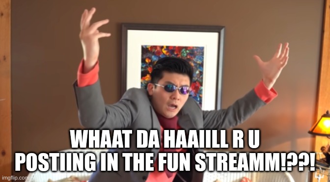 WHAT THE HAIL?! | WHAAT DA HAAIILL R U POSTIING IN THE FUN STREAMM!??! | image tagged in what the hail | made w/ Imgflip meme maker