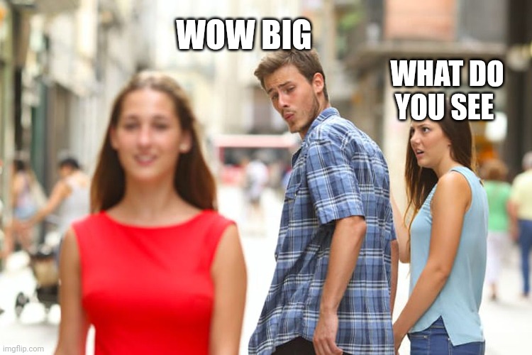 Distracted Boyfriend | WOW BIG; WHAT DO YOU SEE | image tagged in memes,distracted boyfriend | made w/ Imgflip meme maker