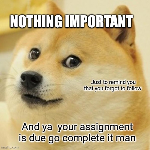 Dang | NOTHING IMPORTANT; Just to remind you that you forgot to follow; And ya  your assignment is due go complete it man | image tagged in memes,doge,front page plz,fun,funny,reminder | made w/ Imgflip meme maker
