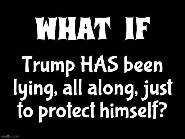 Imagine That | WHAT   IF; Trump HAS been lying, all along, just to protect himself? | image tagged in lock him up,trump lies,scumbag trump,memes,conservative hypocrisy,maga | made w/ Imgflip meme maker